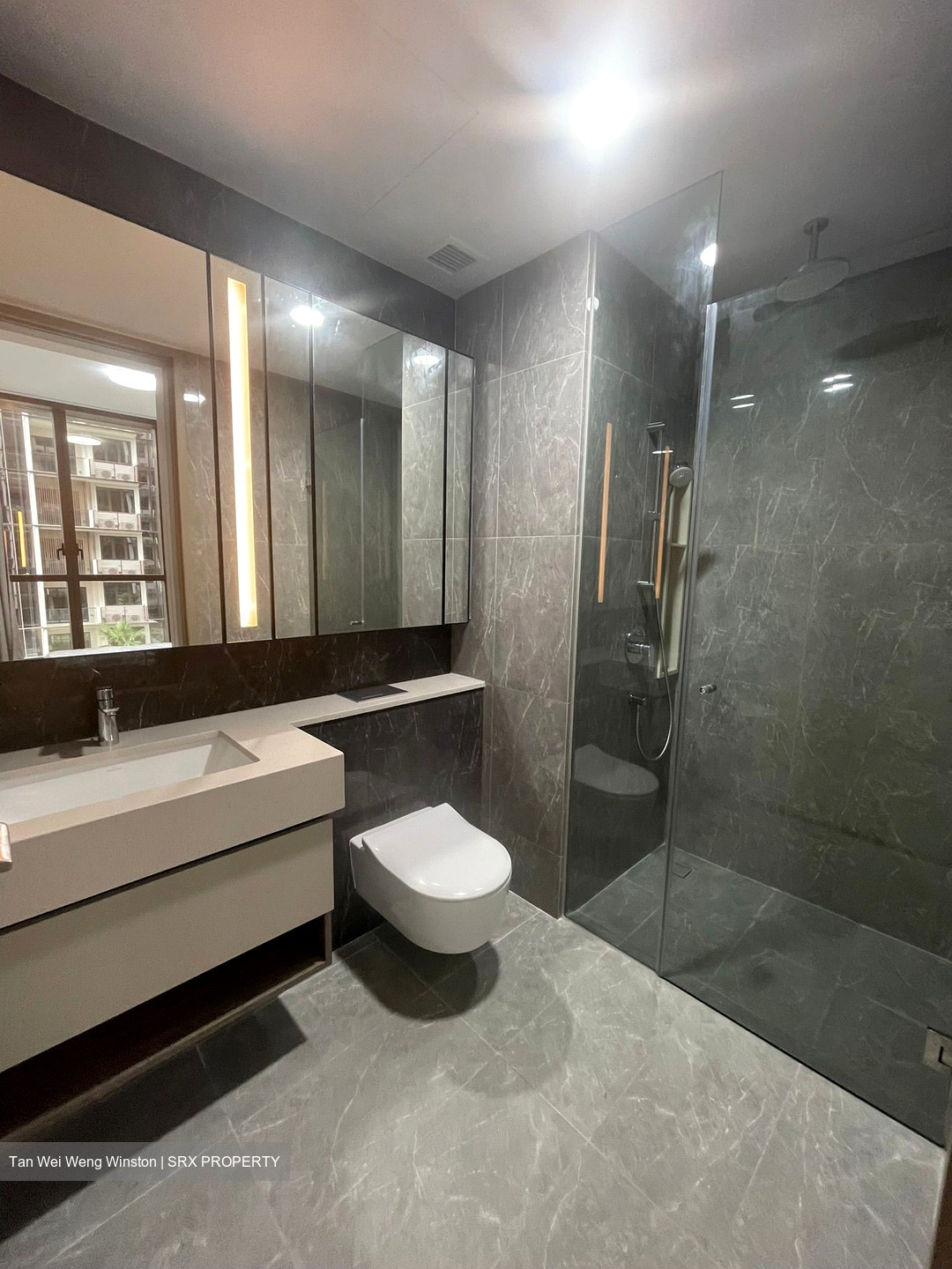 Dairy Farm Residences (D23), Apartment #553868891